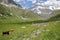 VANOISE, FRANCEÂ : landscape from Entre-Deux-Eaux refuge with Grande Casse summit in the background, Northern Alps